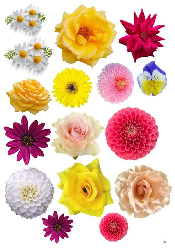 A page of images from Nature & Seasons