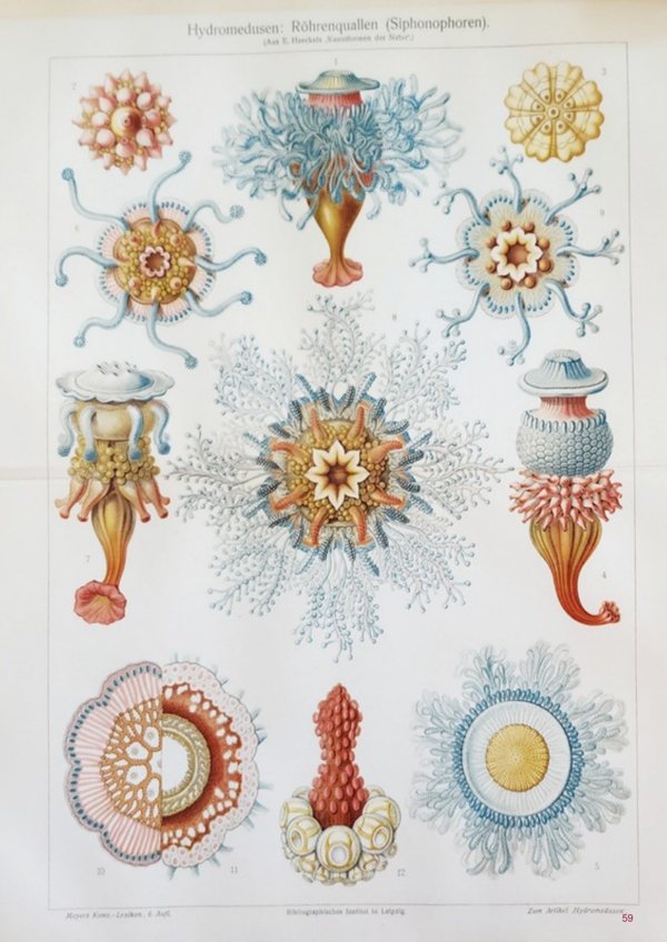 A page of images from From Old Books