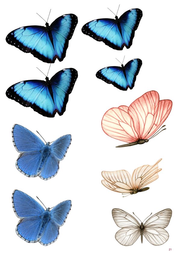 A page of images from Sea & Journey