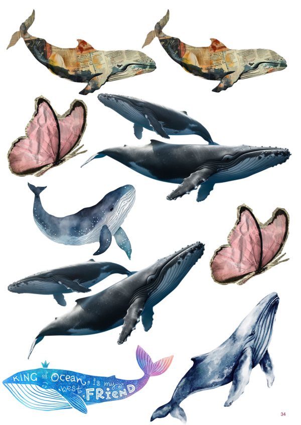 A page of images from Sea & Journey