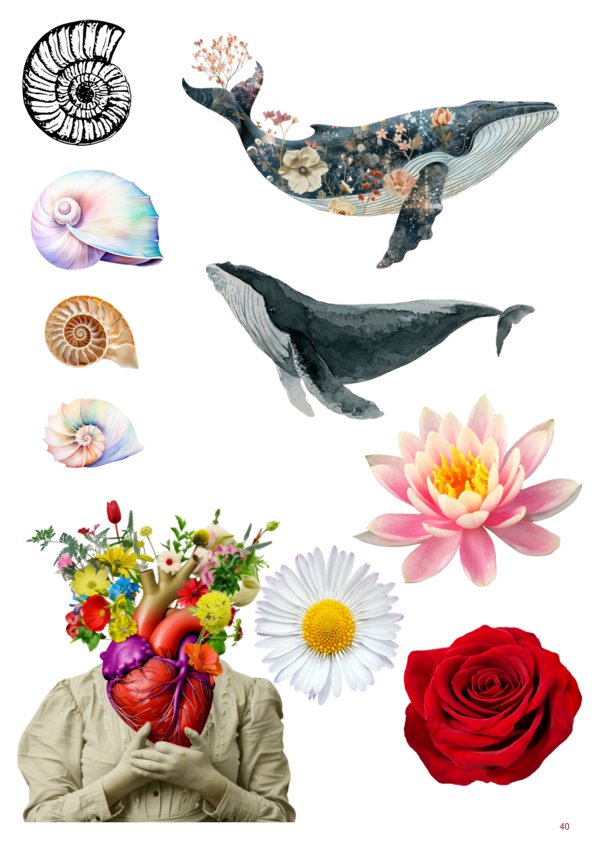 A page of images from Sea & Journey