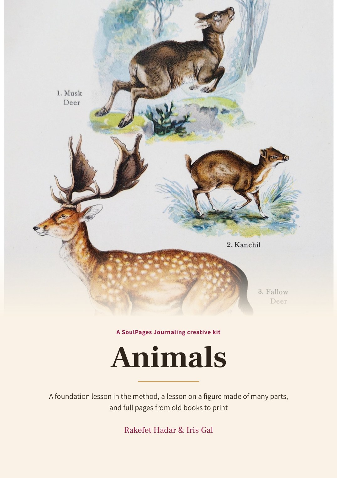 The cover of the Animals vintage kit