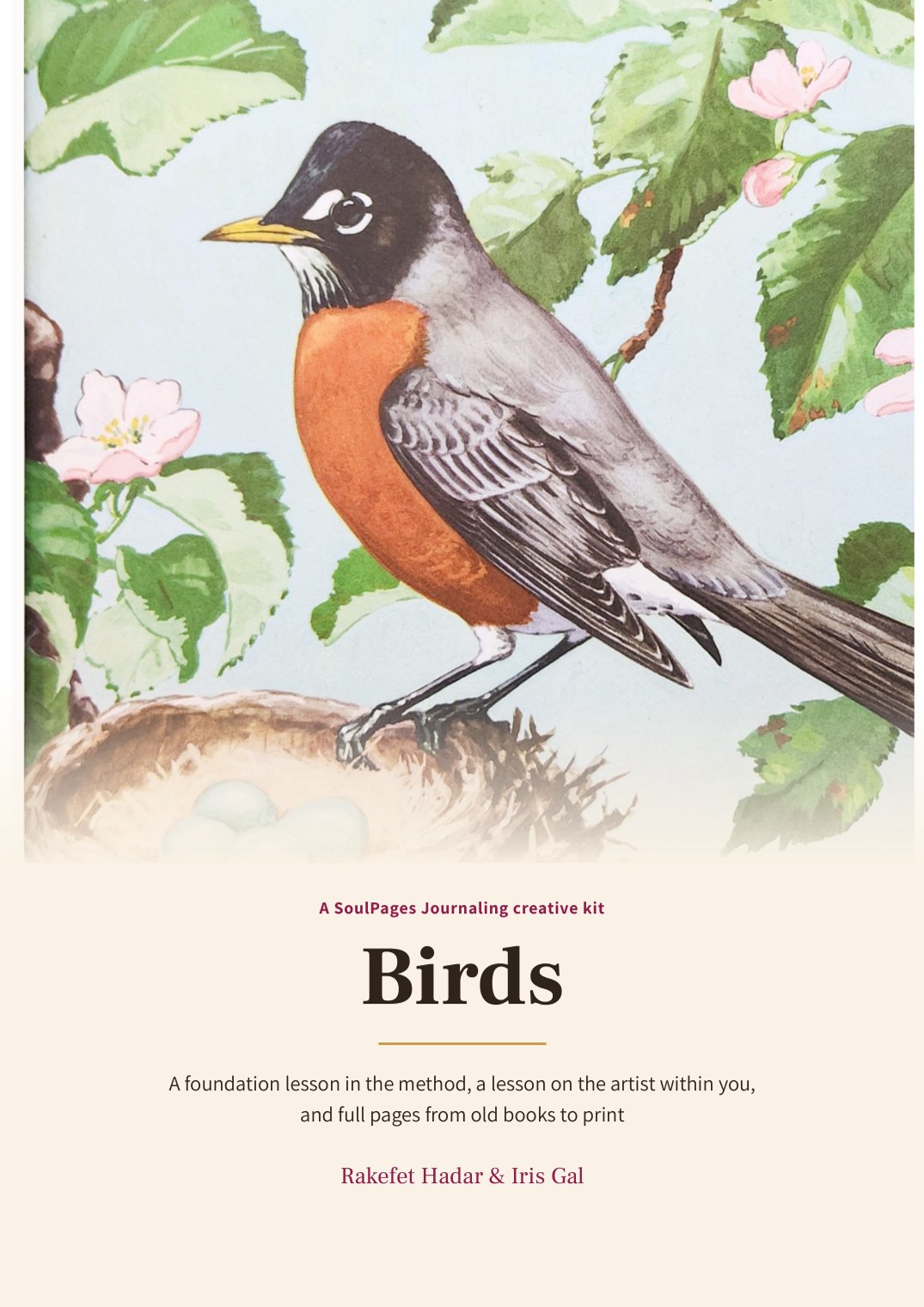 The cover of the Birds vintage kit