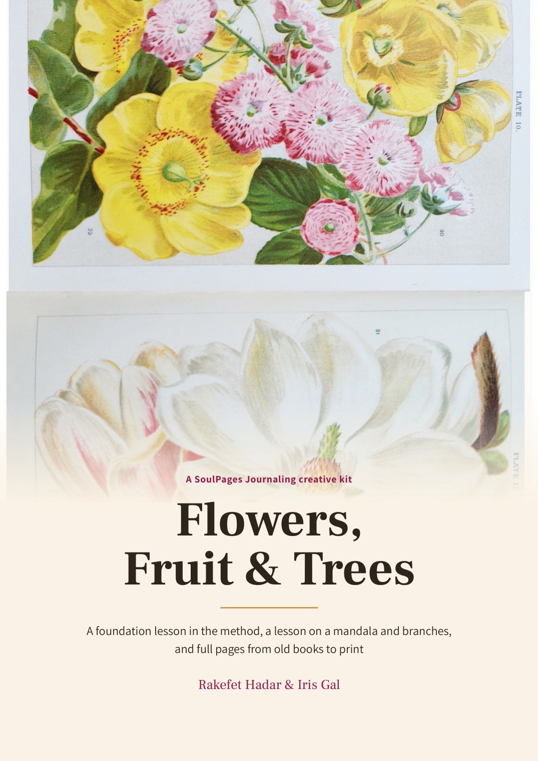 The cover of the Flowers, Fruit & Trees vintage kit