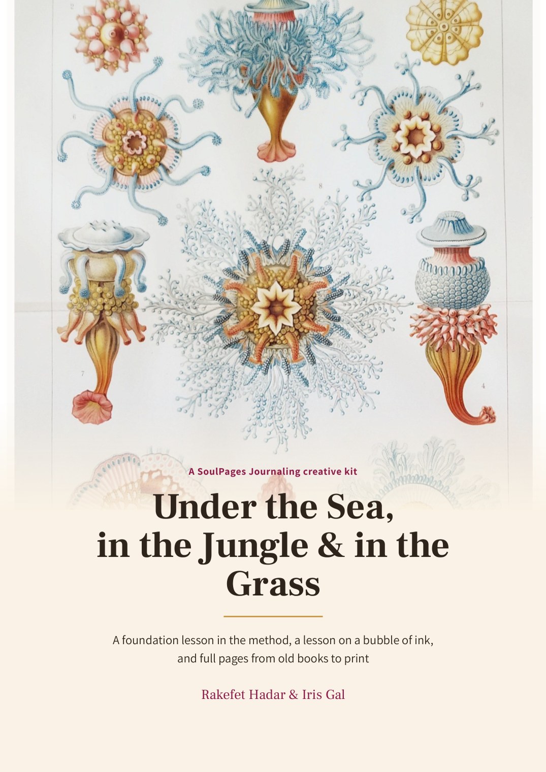 The cover of the Under the Sea, in the Jungle & in the Grass vintage kit